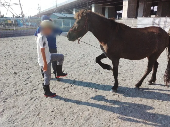 児童発達支援・放課後等デイサービスtenba/お馬さん紹介🐎✨