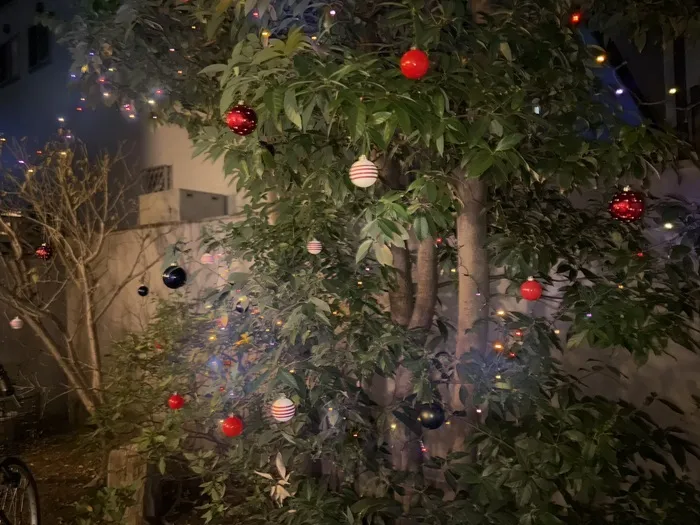 カラカラ　西宮甲子園（児童発達支援・放課後等デイサービス•保育所等訪問支援）/クリスマスイルミネーション