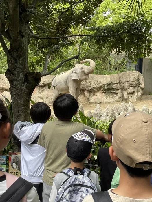 Happiness kids 香椎浜/到津の森公園🐘