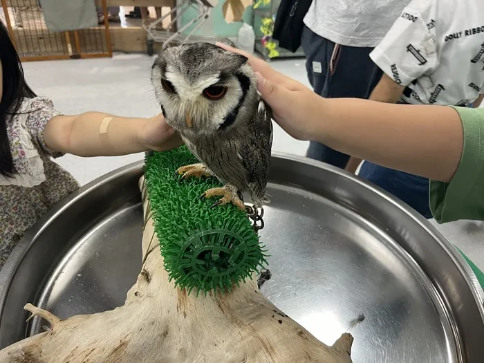 Happiness kids 香椎浜/🐹生き物探検隊🦉