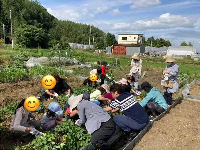 Happiness kids 香椎浜/🍠芋掘り大会🌳