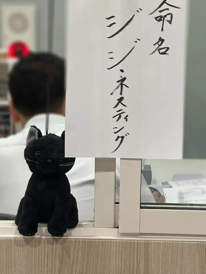 「就労準備型」放課後等デイサービスNESTING博多/ついに！！！🐈