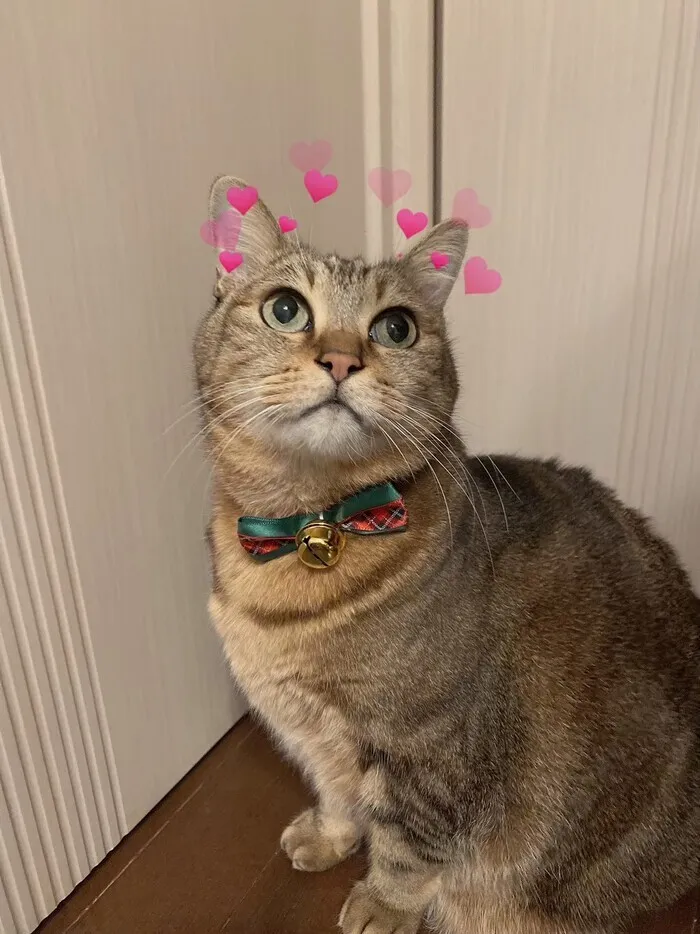 「就労準備型」放課後等デイサービスNESTING博多/【博多の癒し担当編】スタッフインタビュー🎤