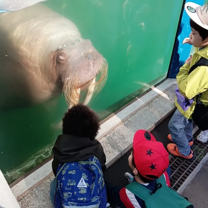 児童発達支援・放課後等デイサービスunico中島公園/おたる水族館におでかけ♪