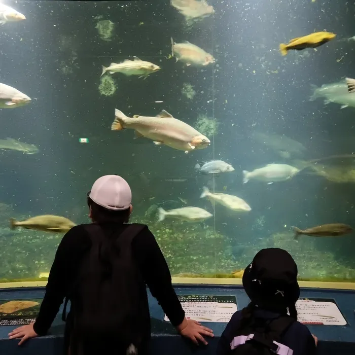 児童発達支援・放課後等デイサービスunico中島公園/おたる水族館におでかけ♪