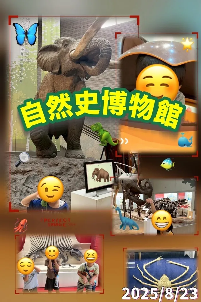 emiure（エミュール） STによる言語療法可能　生野区最大級施設　送迎あり/外出支援！自然史博物館🦋🦕