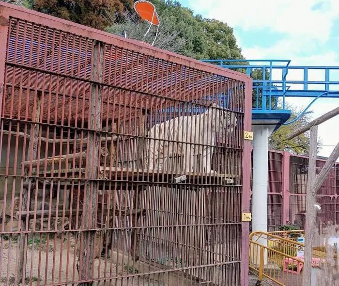 晴る日 西崎事業所/楽しかった動物園