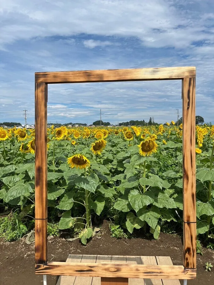 ハートフル・キッズ　古河店 【 空き有・送迎有】10月～土曜日も営業！/🌻7月24日🌻