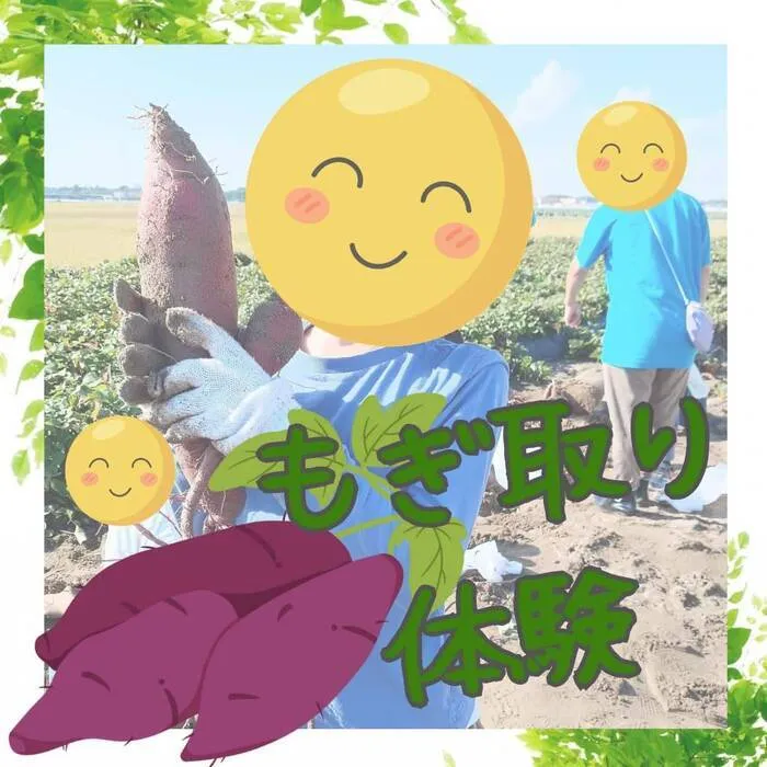 COCORO籠田公園教室/野菜のもぎ取り体験にいこーう！