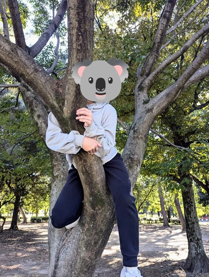 Helder/コアラに遭遇🐨