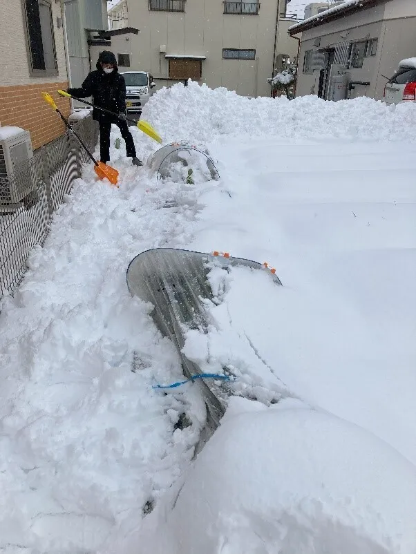 えるーむ/雪かき作業