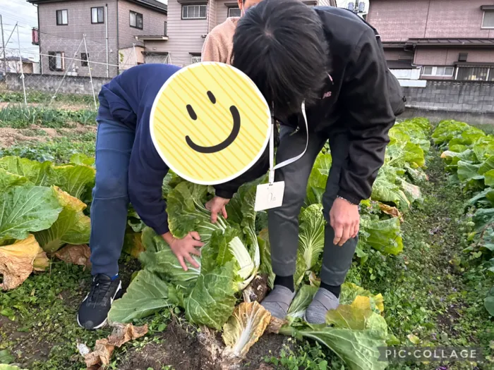 【6月オープン/送迎あり/土曜日もお預かり可能】のびのび広場エミタス川越野田町教室/その他