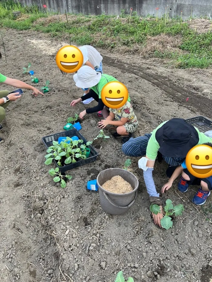 【6月オープン/送迎あり/土曜日もお預かり可能】のびのび広場エミタス川越野田町教室/エミタスファームで種まき