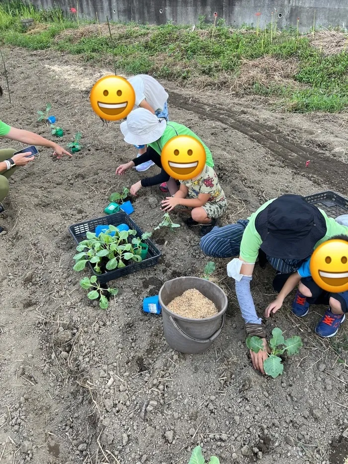 【6月オープン/送迎あり/土曜日もお預かり可能】のびのび広場エミタス川越野田町教室/のびのび広場エミタス野田教室　エミタスファーム