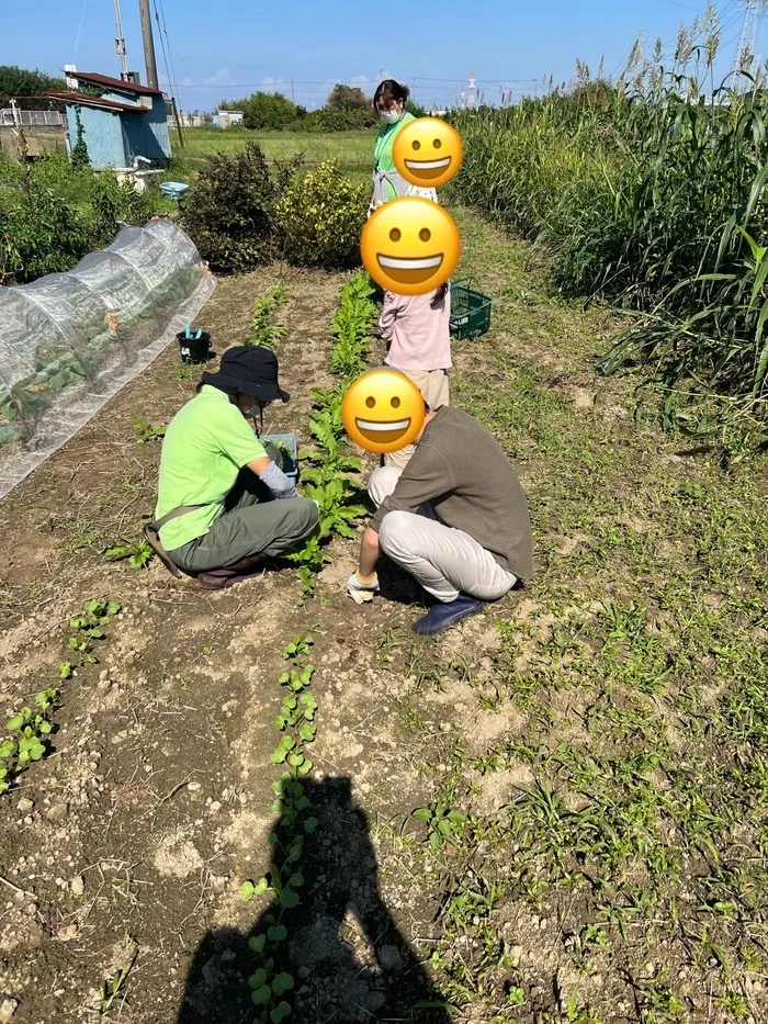 【送迎あり/土曜日もお預かり可能】お気軽にご連絡ください  のびのび広場エミタス川越野田町教室/エミタスファーム