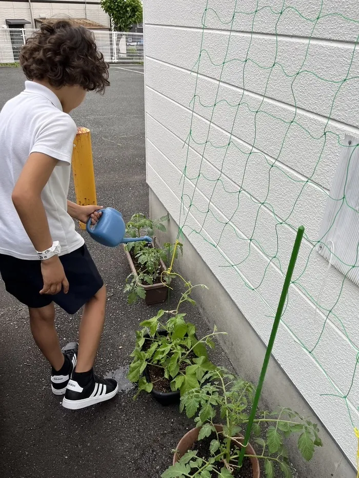 児童発達支援・放課後等デイサービス　あそびっこ　どんぐり/野菜に水やり🌱