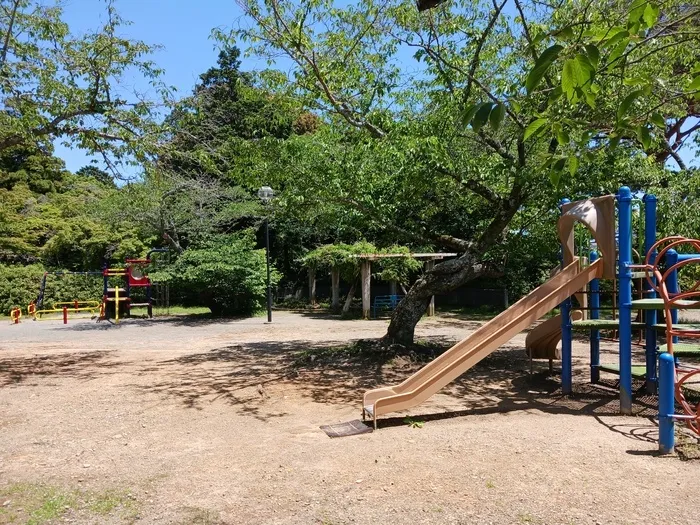 児童発達支援・放課後等デイサービス　あそびっこ　どんぐり/つつじ公園🌼🍃