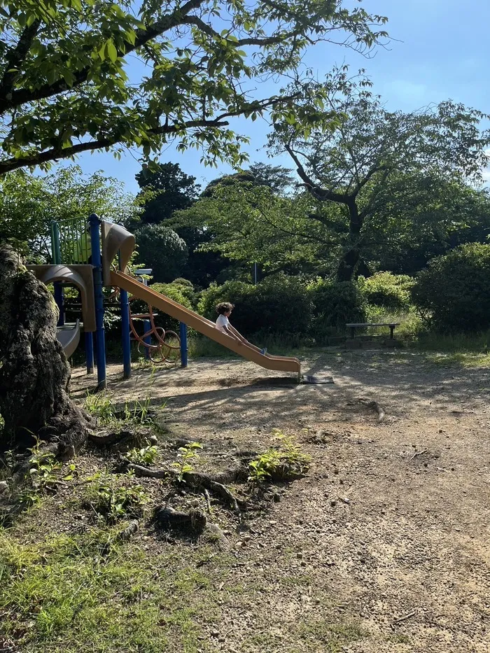 児童発達支援・放課後等デイサービス　あそびっこ　どんぐり/公園あそび😺🌱