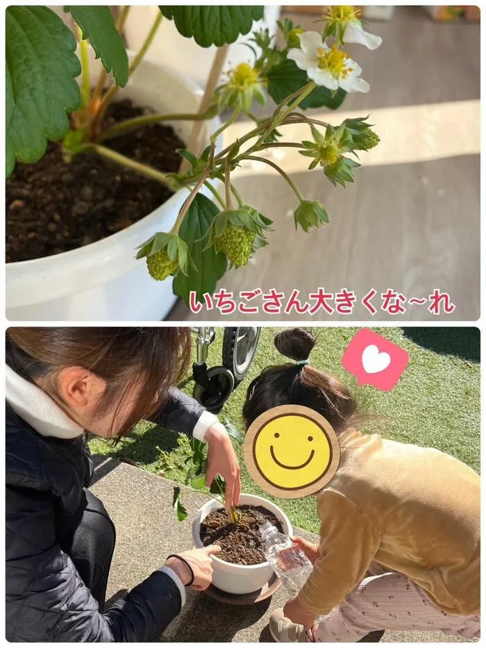 【新規児童募集中】 児童発達支援 じゅびこるーむ/いちご🍓