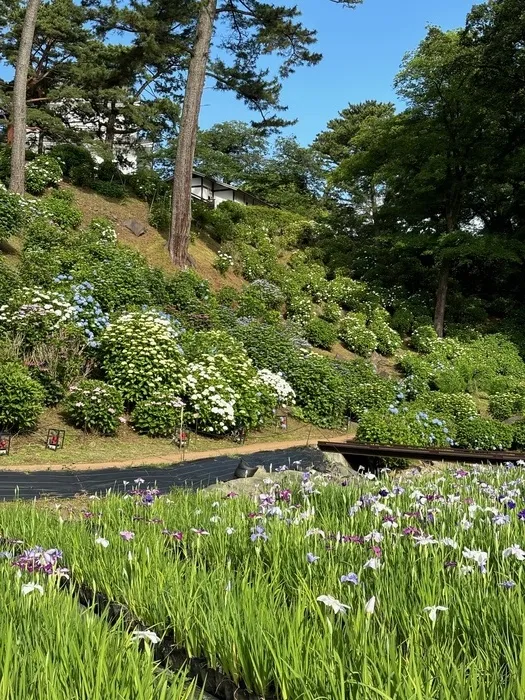 こぱんはうすさくら小田原東町教室/6月になりましたね🌈