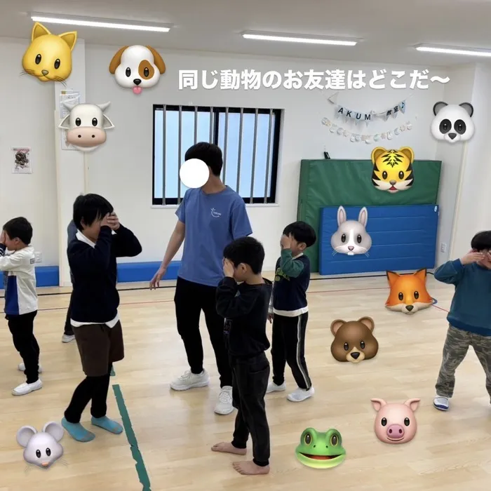 【運動療育】TAKUMI堺教室/動物ゲームをご紹介🐻✨