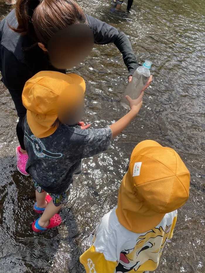 こども発達らぼ&kids相模原　[１日預かり・ 送迎あり ]/お魚探し👀🐟