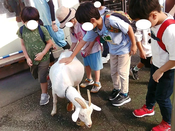 放課後等デイサービス ウィズ・ユー早稲田/【市川市動植物園🐐】