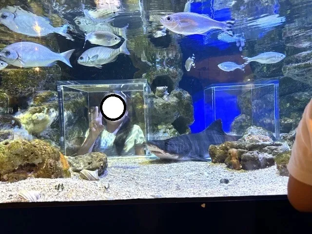 放課後等デイサービス　ウィズ・ユー早稲田/【足立区生物園🐟】