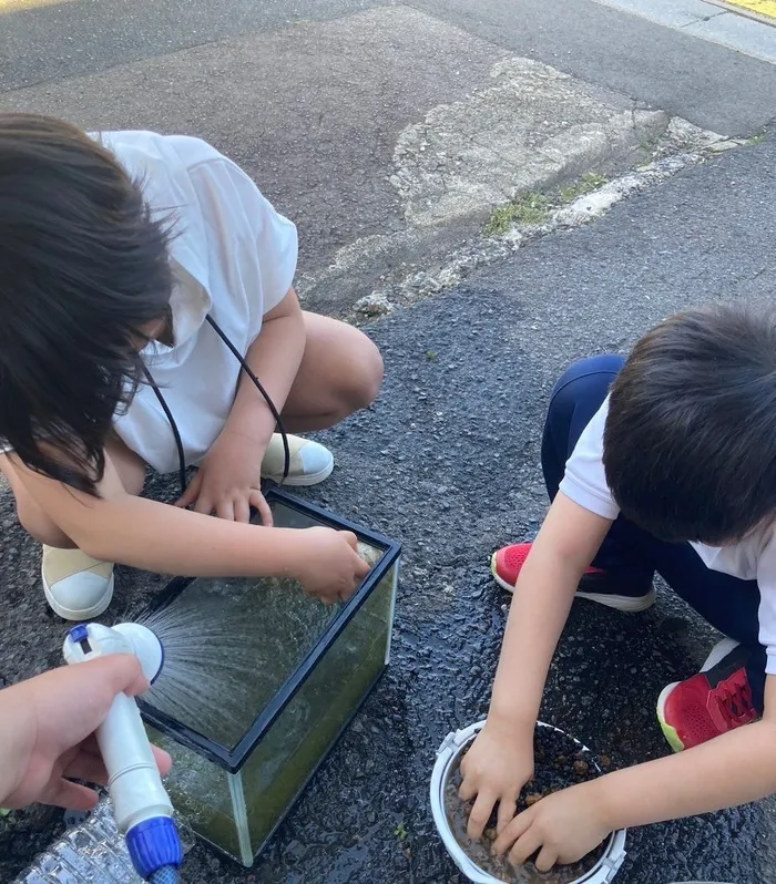 【2024年6月新規オープン！】【送迎あり！】チャイルドウィッシュきくち２/水槽掃除