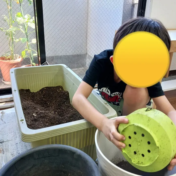 児童発達支援・放課後等デイサービス　モンテツリー天満の杜/オクラを植えました。