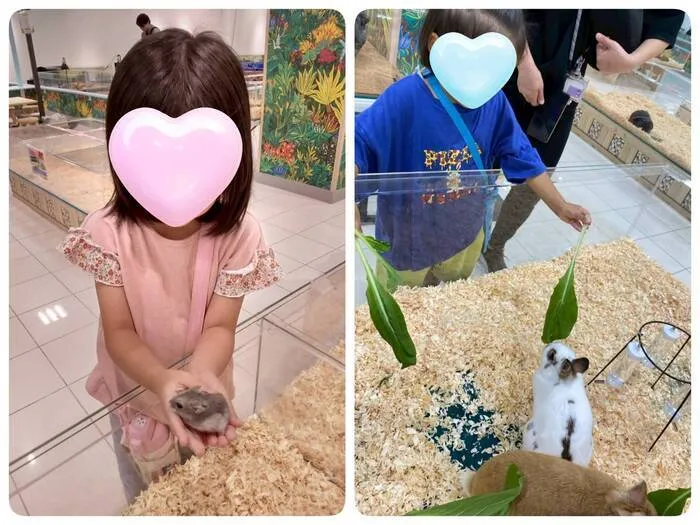 こぱんはうすさくら庚午【集団～個別まで!・土日祝も開所してます】/いきものふれあい学校に行きました！