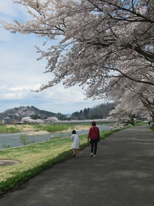放課後デイ　たんぽぽ/満開の桜を見にいこう！