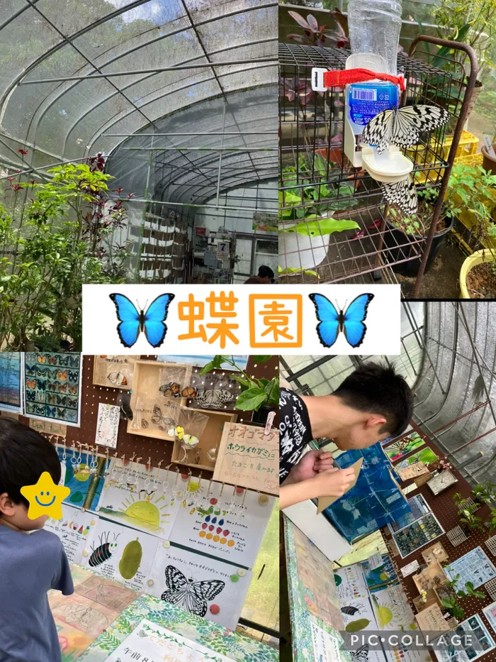 児童デイサービス　ピュア/蝶園に行ったよ🦋