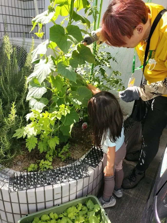 放課後等デイサービスウィズ・ユー×モンテツリー桜の宮/お水やり🌻