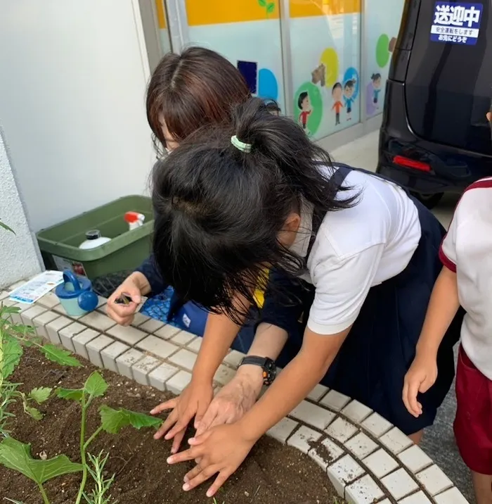 放課後等デイサービスウィズ・ユー×モンテツリー桜の宮/モンテツリー菜園🍅