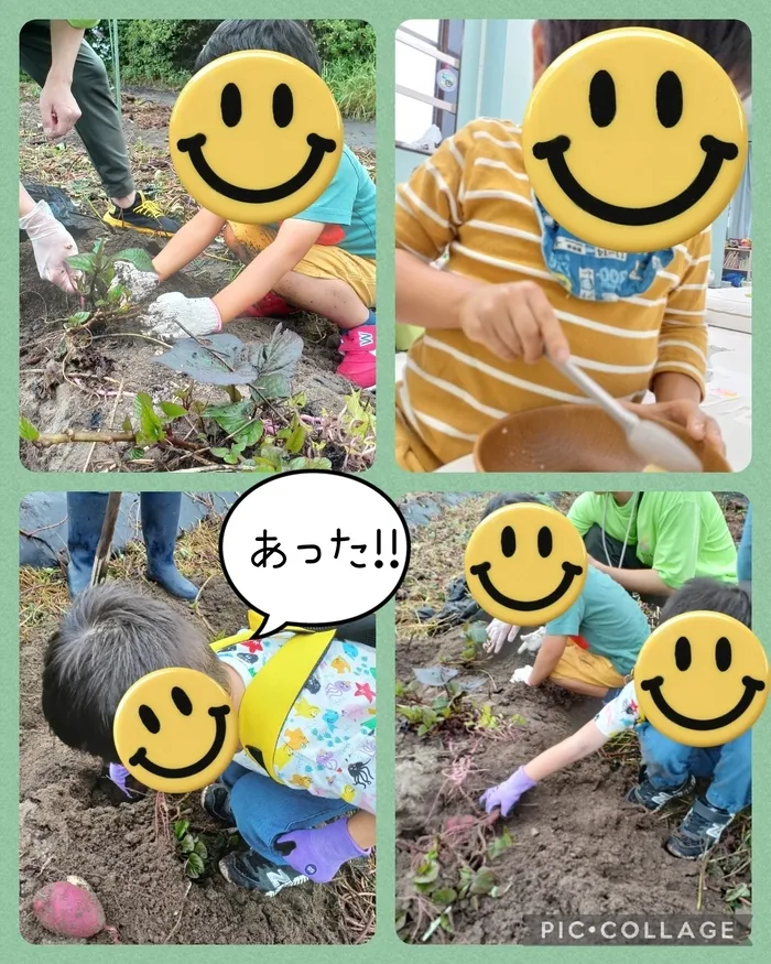 みちしるべ 中部/お芋ほり