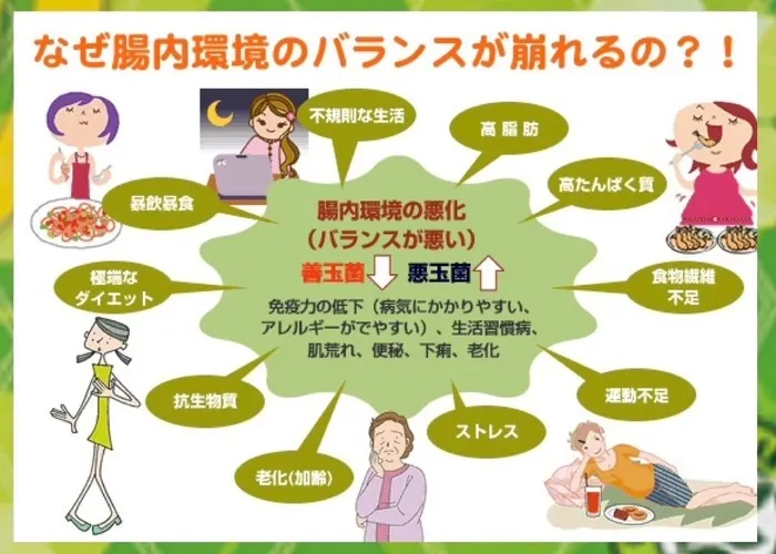 LUMO本山校/あなたの健康の鍵！ 腸は体の司令塔！