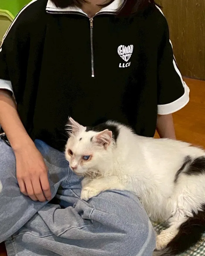 たいしのいえ/猫カフェに行ってきました！