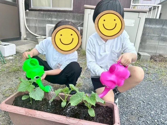 【無料体験受付中♪2024年4月オープン♪】あそび王国　今事業所/プランター菜園をしたよ🍀