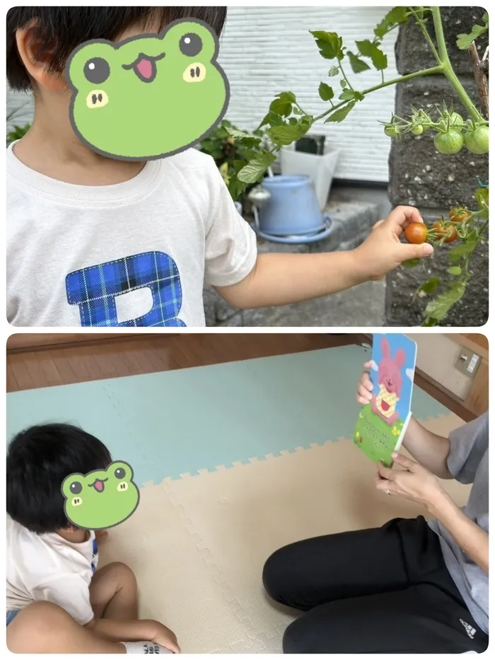 児童発達支援 ありんこ/トマト🍅収穫(^_-)-☆