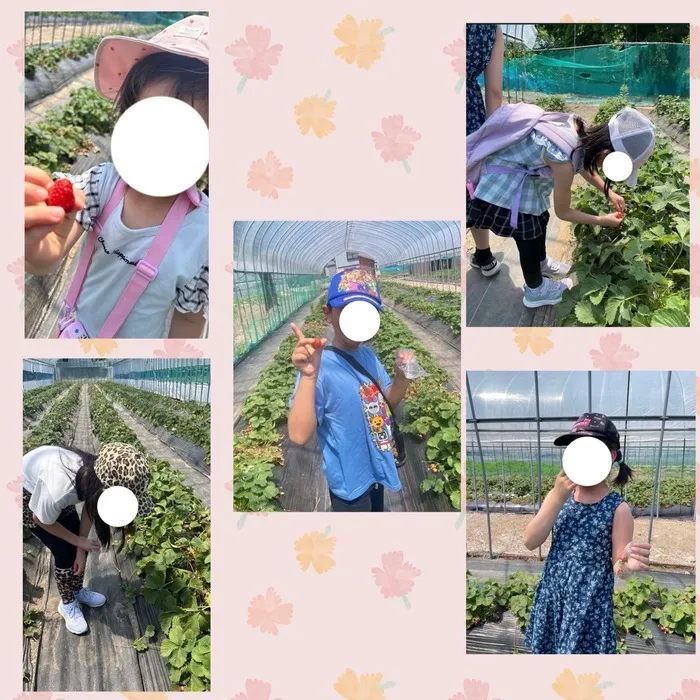 といろ/いちご狩りにいきました🍓