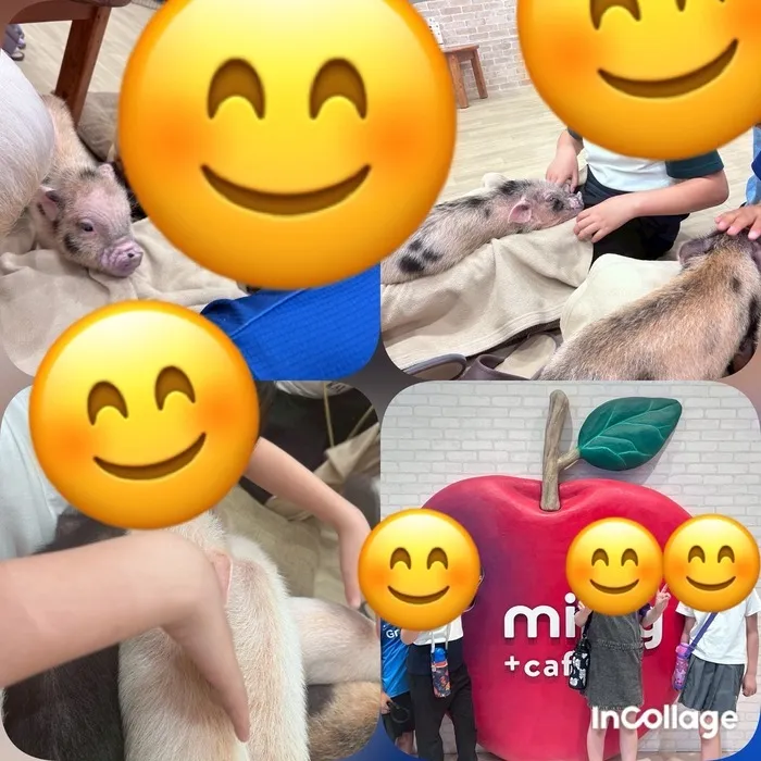 といろ/🐷動物との触れ合い🐷