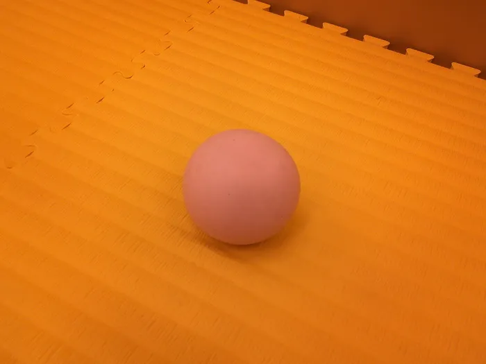 クロッカ東大井/この丸いものはいったい・・・？