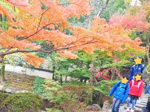 まいるーむ放課後こども教室　鶴原校/紅葉狩り🍂