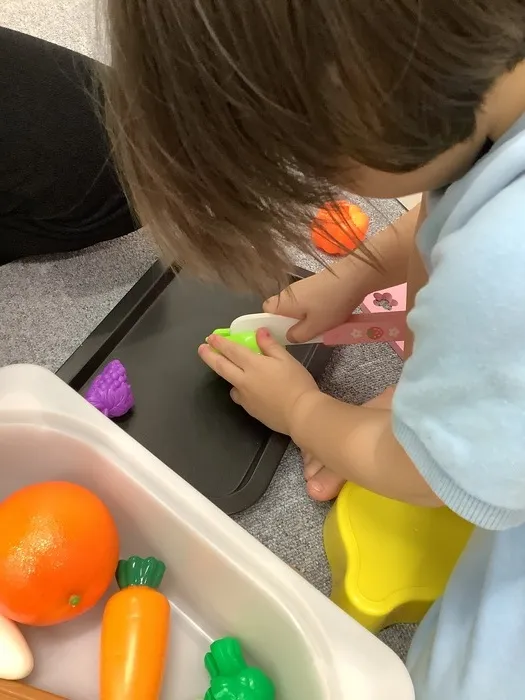 てらぴぁぽけっと 日本橋浜町教室【土曜B/平日AB空きあり】/おままごと🔪🐡🥦