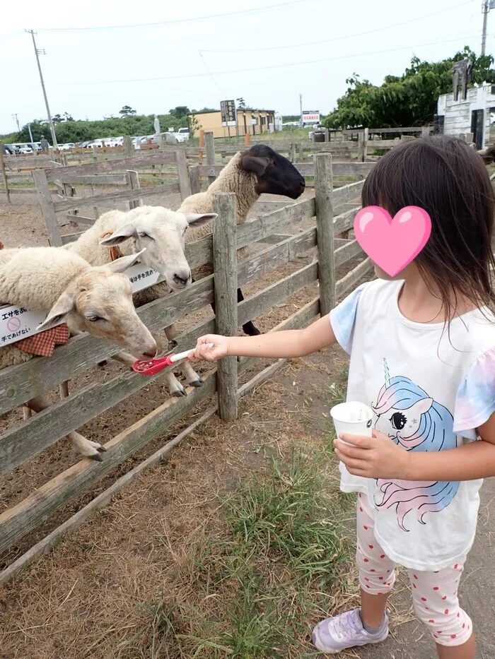 ぽっぷあっぷ/いわぬまひつじ村🐑