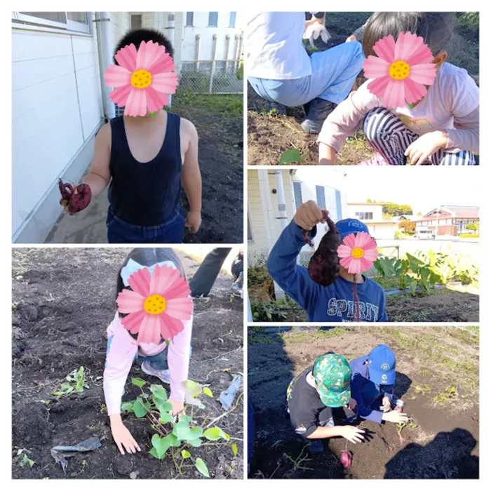 ブロッサムジュニア木幡教室/みるひぃ教室に遊びにいってきました!