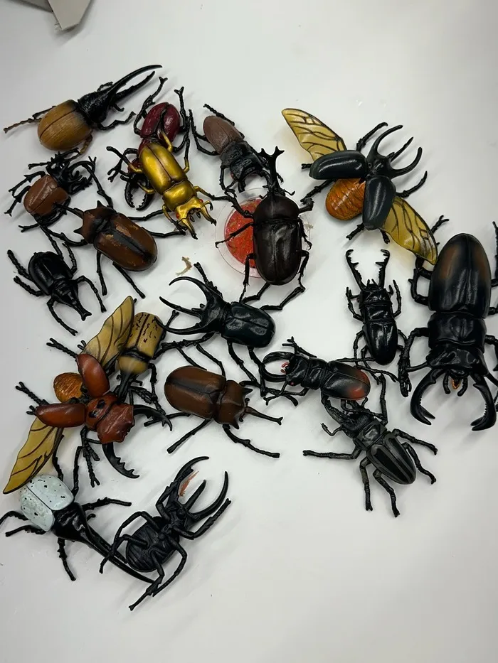 ココノハーツ名古屋瑞穂教室/🦋本物ど～れだ‼️