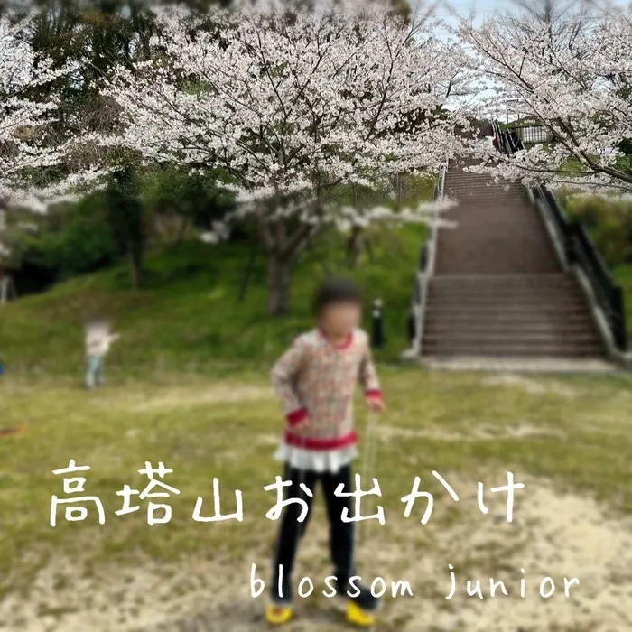 ブロッサムジュニア小倉中井教室/高塔山お出かけ