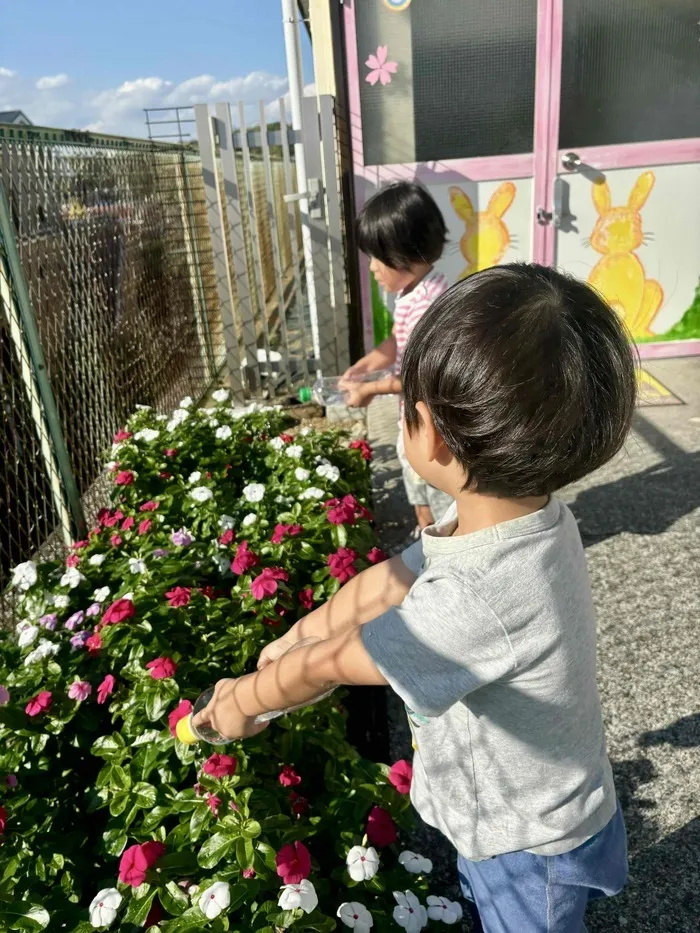 こぱんはうすさくら横浜いずみ教室/お花のお世話